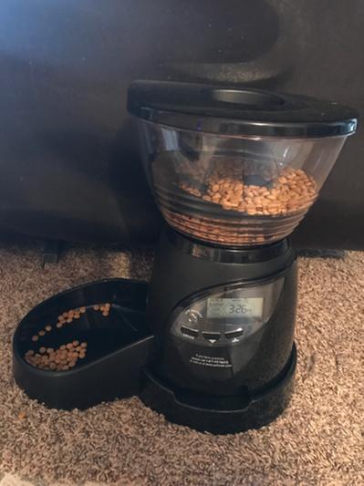 Le bistro clearance pet feeder manual