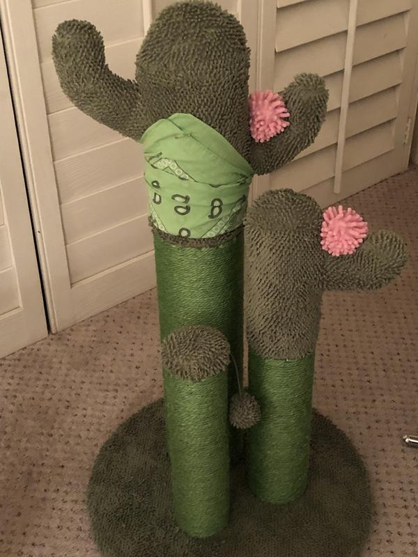 Cactus Pete