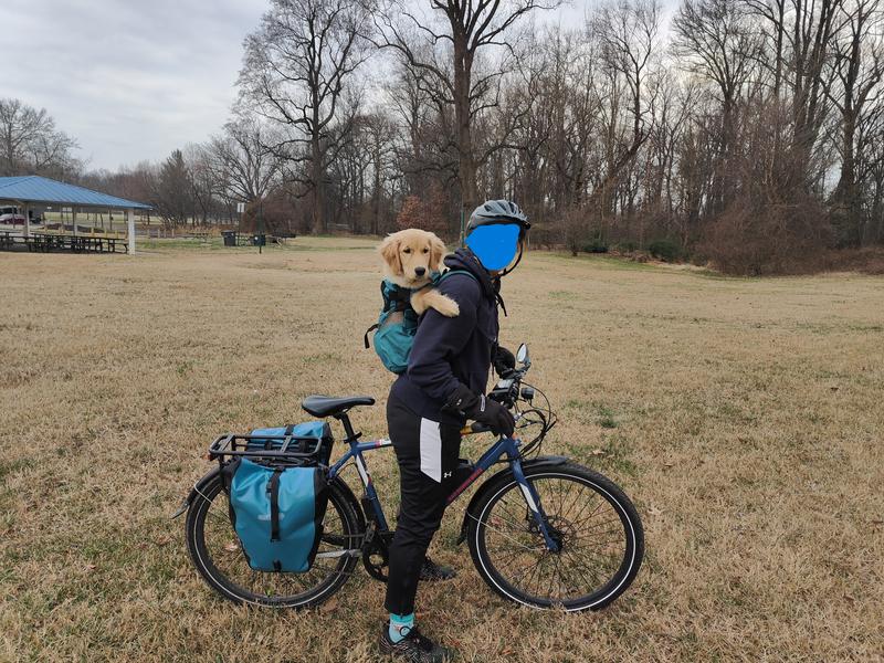 K9 Sport Sack | Hondenrugzak voor kleine en middelgrote huisdieren | Verstelbare hondenrugzakdrager aan de voorkant | Volledig geventileerd | Veterinaire Goedgekeurd (Klein, Air - Summer Mint