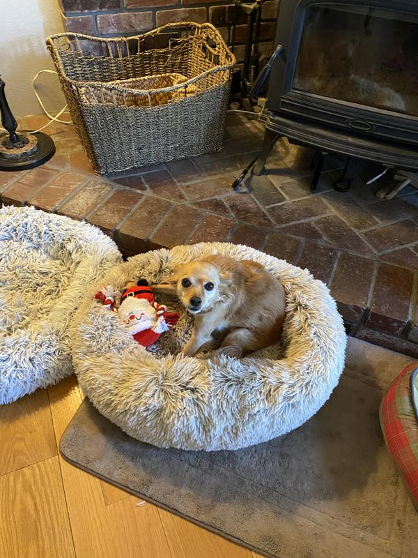 Don’t even think about taking my toy!