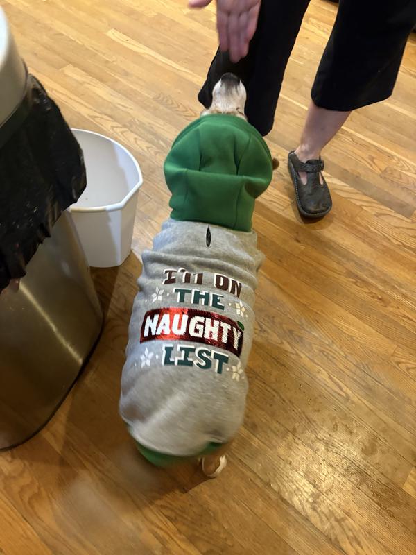 Size Medium on my 30 lb chunky Beagle