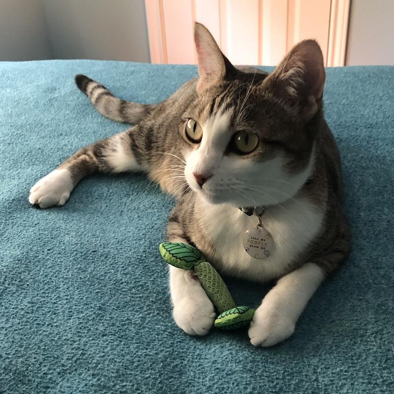 Posing For The Camera