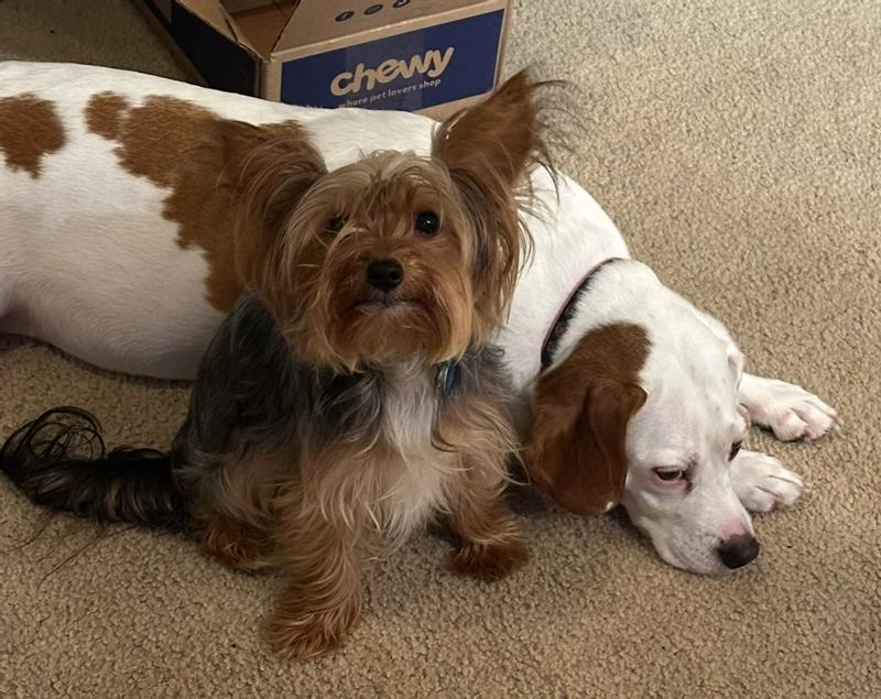 Easy to use on a variety of ear shapes