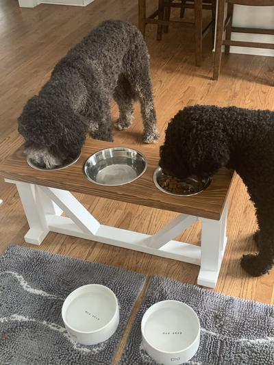 Sfugno Dog Bowls Elevated 3 Heights 4in 8in 13in Rustic Wood