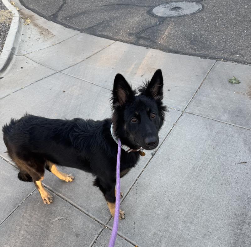 Showing off her beautiful clean coat