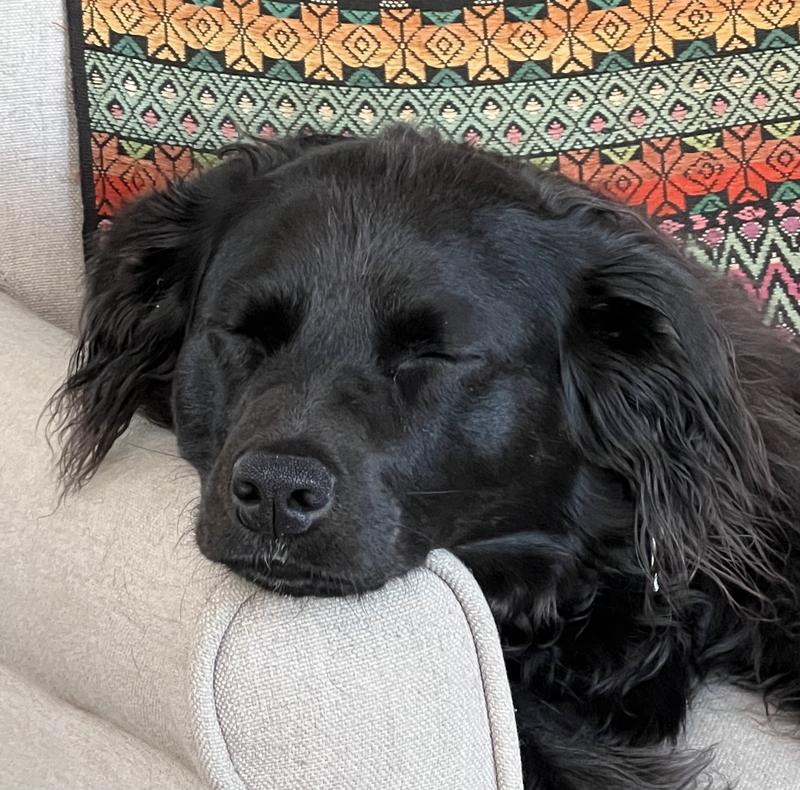 Lil’ sleepy head.