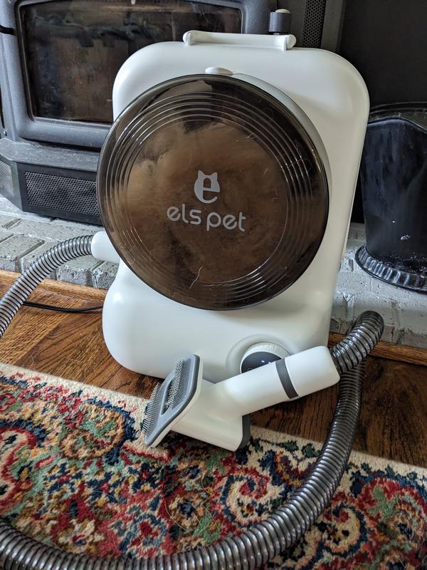 All the Corgi Glitter in the bin