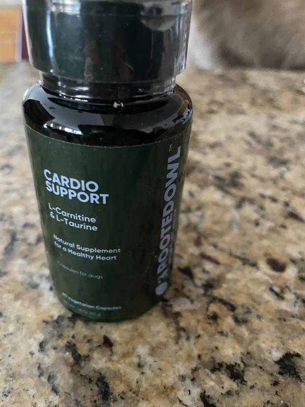 ROOTED OWL Natural Cardio Support Capsules Supplement with L-Taurine & L- Carnitine for Dogs, 60 count - Chewy.com
