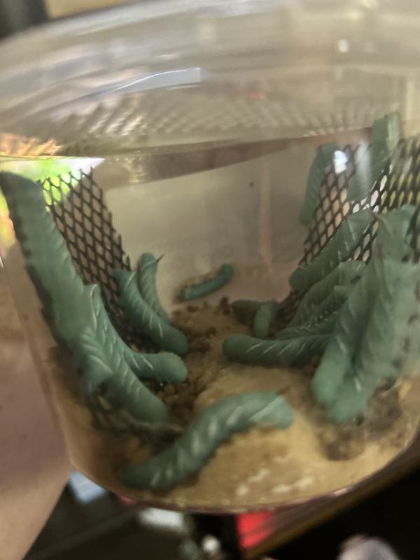 Creepy creepers they are.