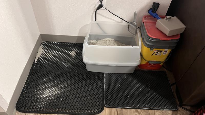 New litter corner setup