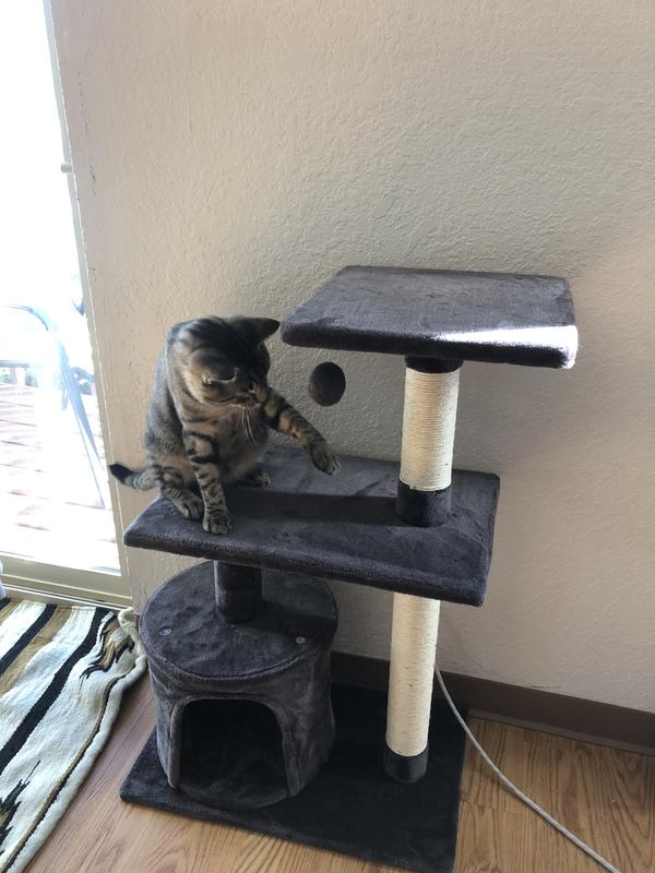 FRISCO 38in Cat Tree with Condo, Top Perch and Toy, Charcoal