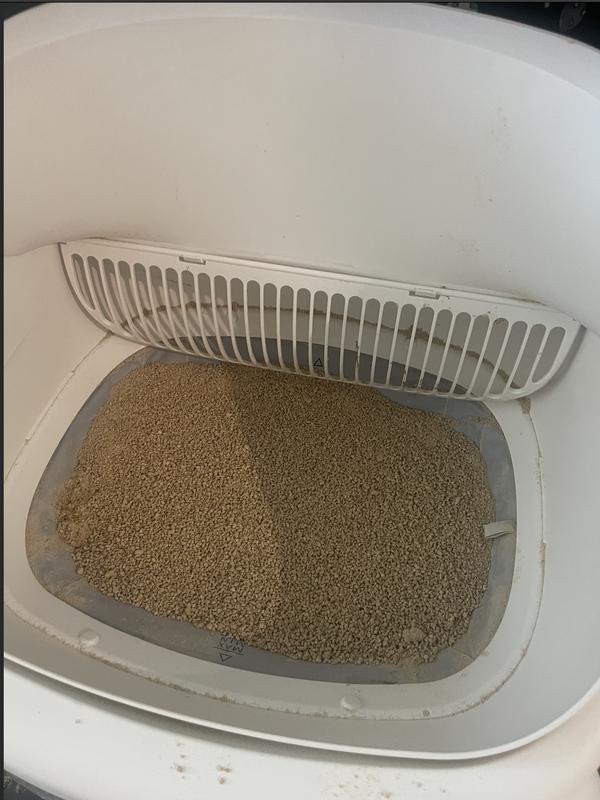 World's best litter in automatic litter box.