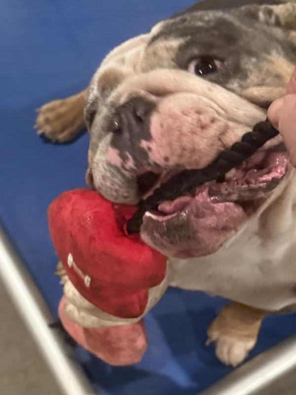 Magnus couldn’t wait to try it!