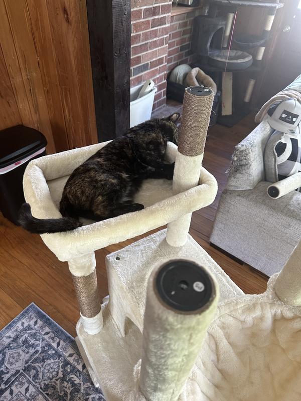 “Is it done yet mom???”