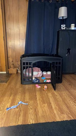 She drags her toys in her special little area.