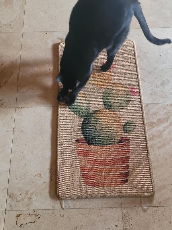 Willie scratching before it's on the walls :)