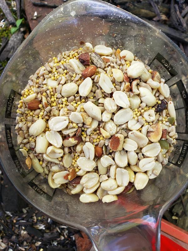 No mess bird seed.