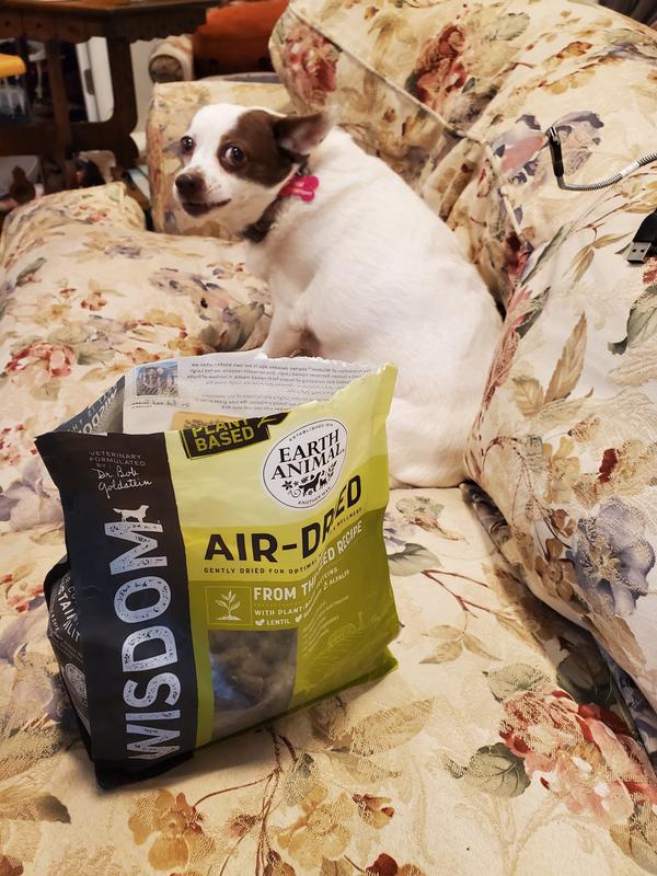 Nivi grabbed a bite and ran to eat.