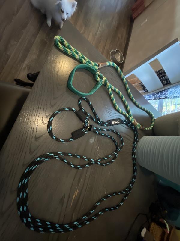 Mad dog leash shown next to green mendota brand leash