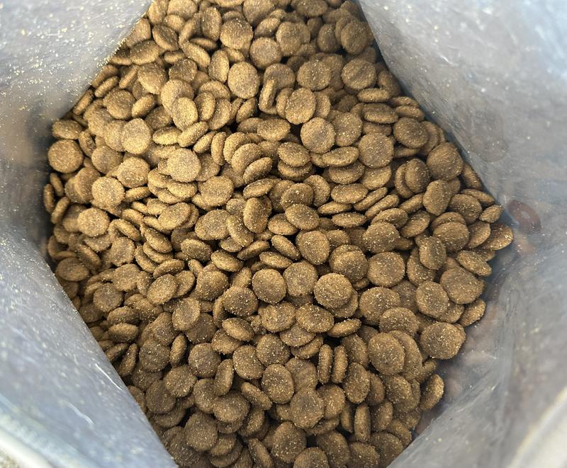 Food pieces were about the size of a nickel.