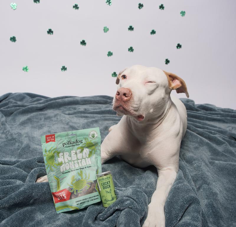 Saint Patrick Photoshoot with fav treats
