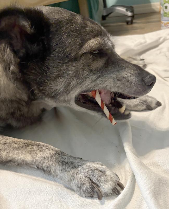 Shiloh Moore is enjoying his Pork Skin Twist