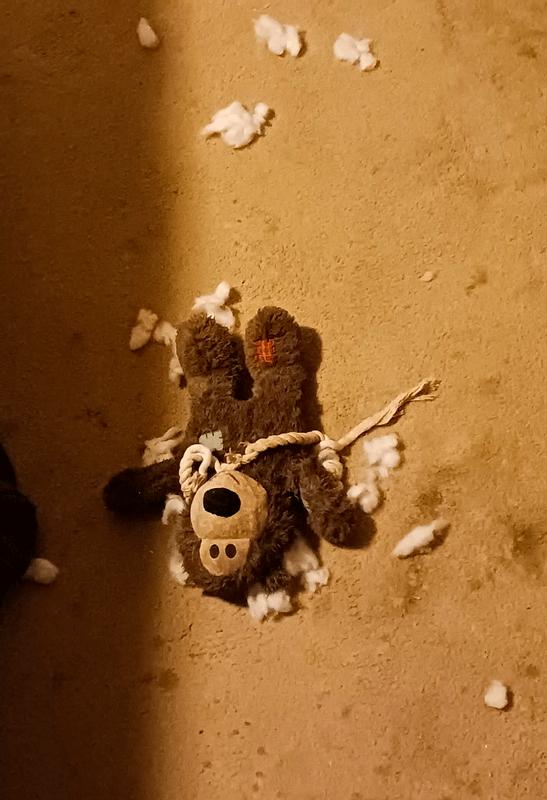 Murder Scene #3