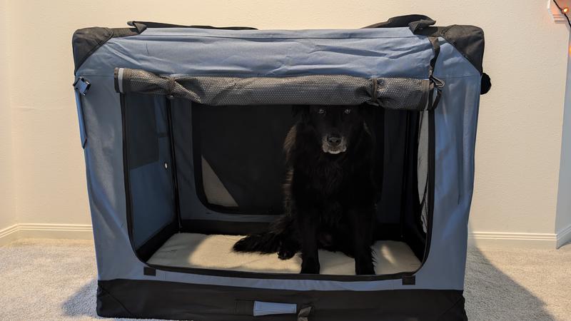 Plenty of room to spread out!