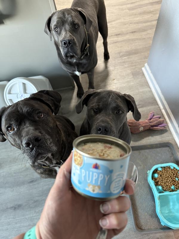 All 3 impatiently waiting!