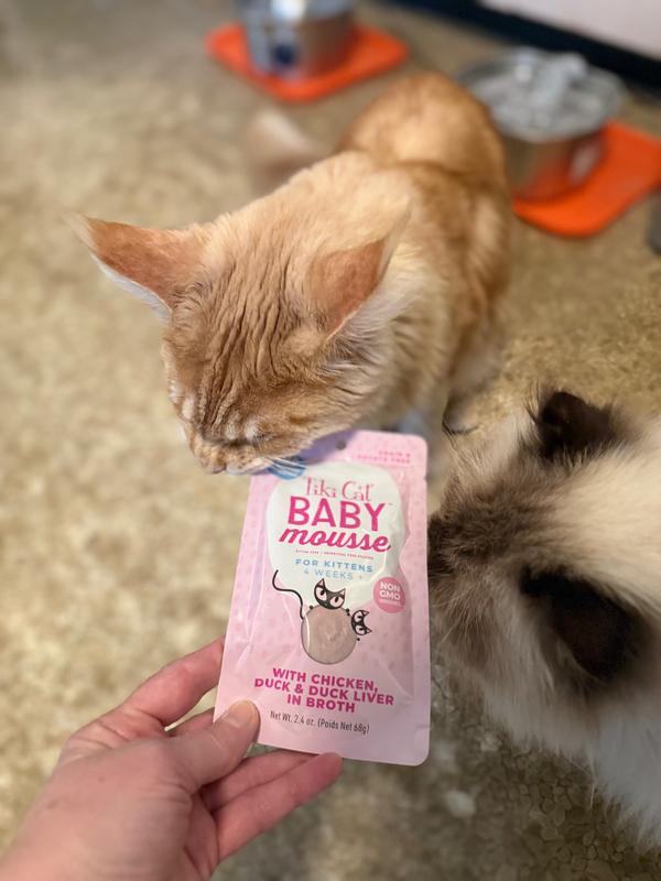 Two of our cats checking out the pouch