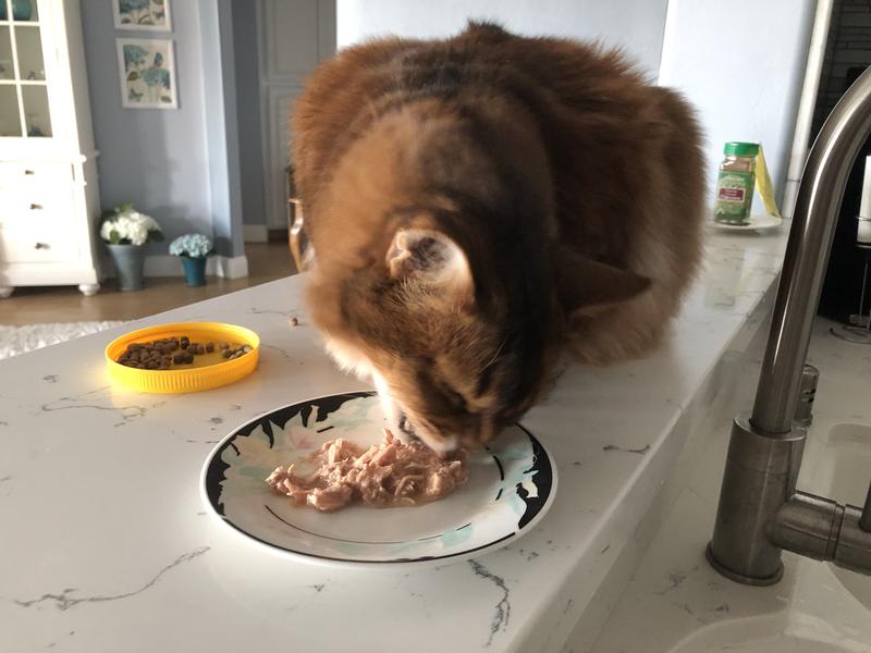 Lots of good quality meat