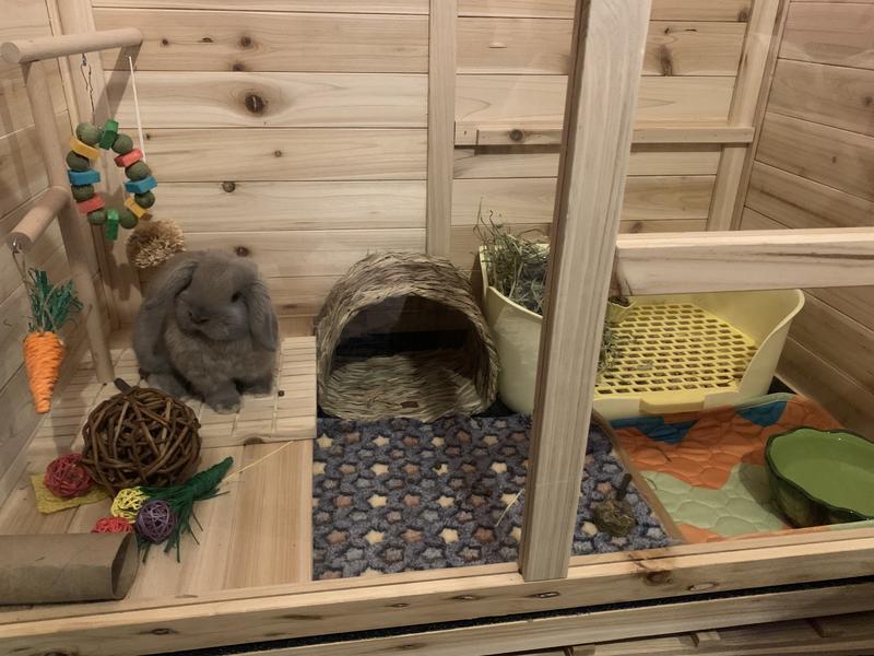 I promise he’s real..not a stuffy..lol