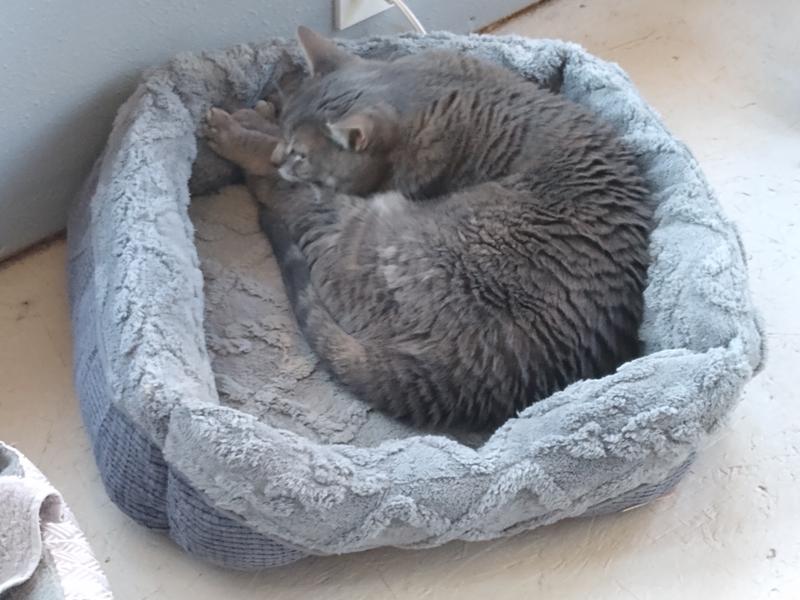 Cozy and snuggly