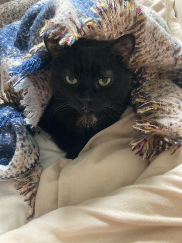 Warm and cozy