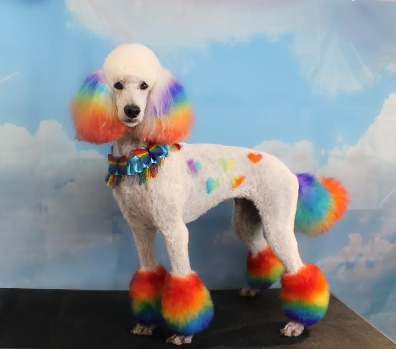 Of course Pearl thinks that she herself is the pot at the end of the rainbow, but this kibble comes a close second.