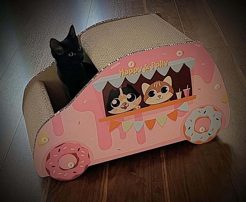 Trixie going for a spin!