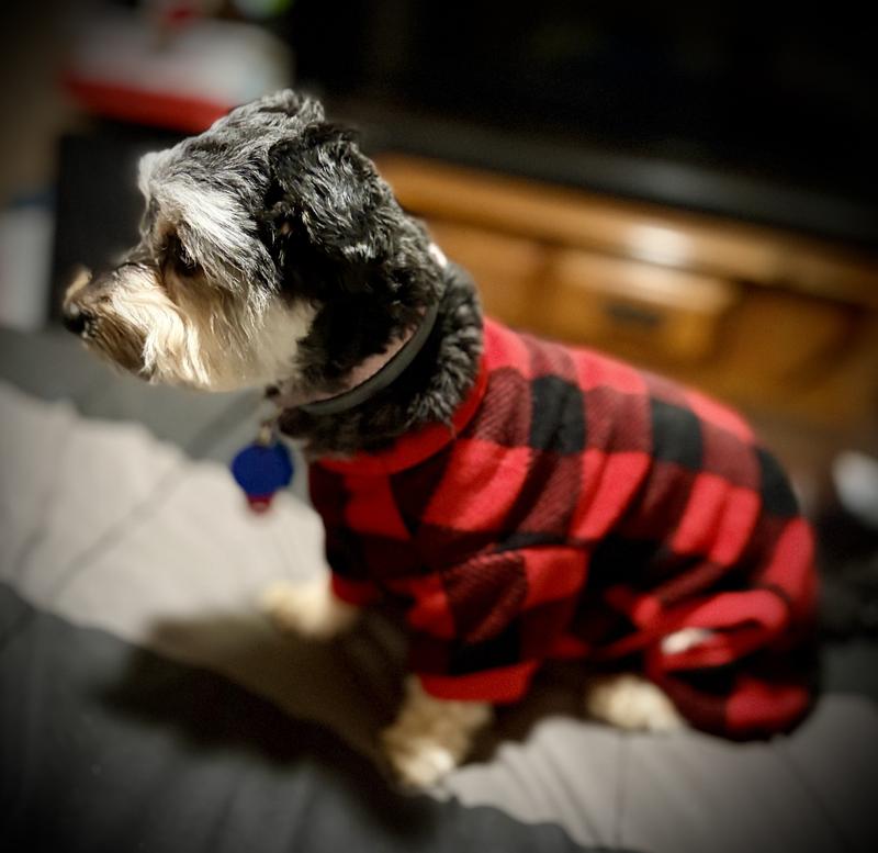 I’m warm and cuddly!