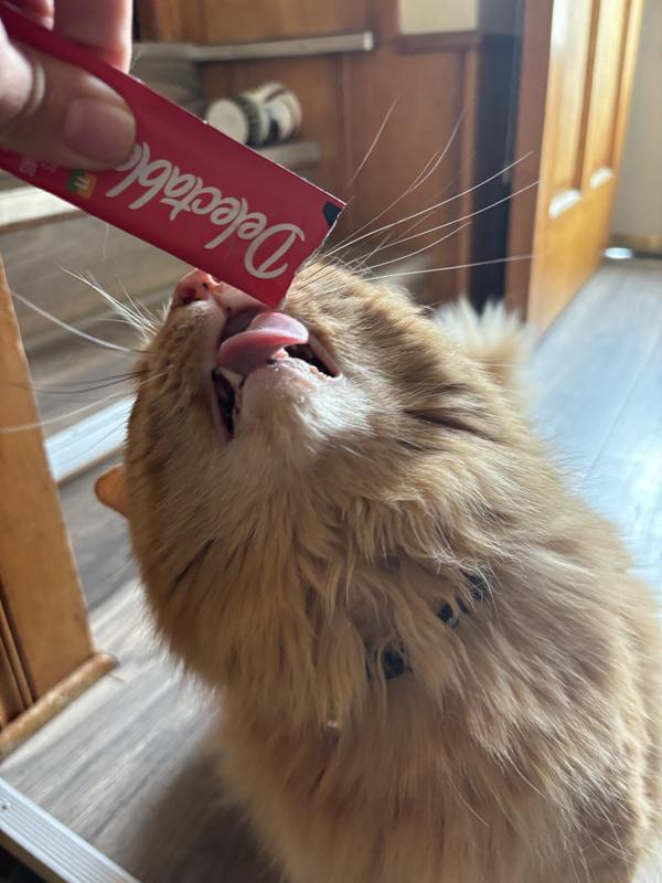 HARTZ Delectables Squeeze Up Chicken with Catnip Flavored GrainFree