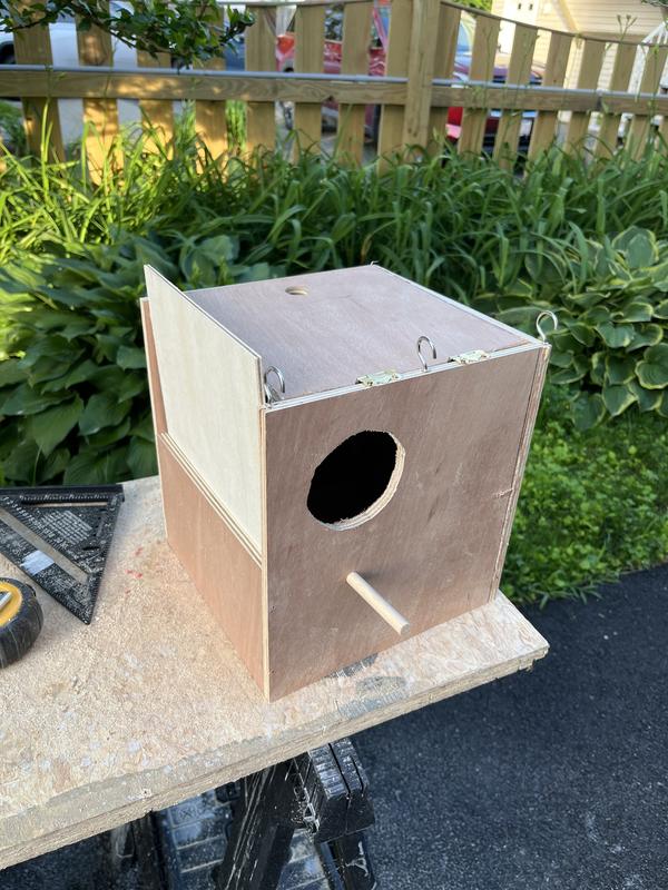 Finished product to fit actual width of a cockatiel and enable mounting on cage.