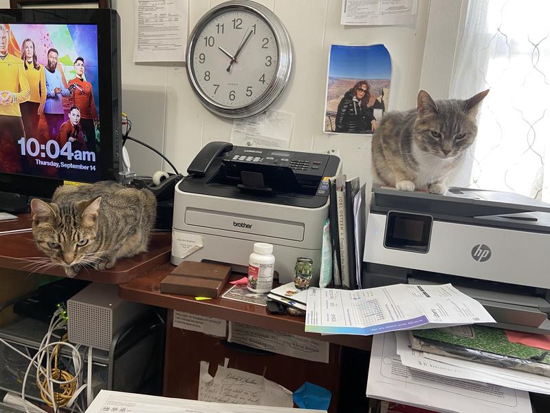 Hi, I am Evie and I too want something stronger mom keeps trying