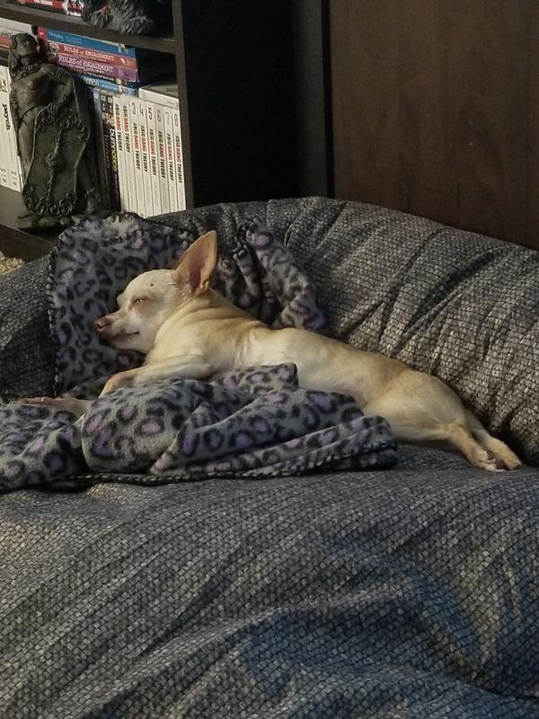 He only takes up a corner