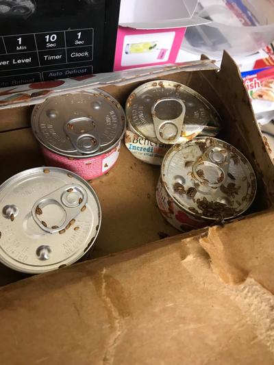 How it arrived!