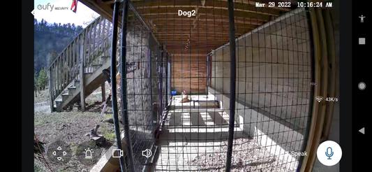 Outdoor kennel camera-has sound as well