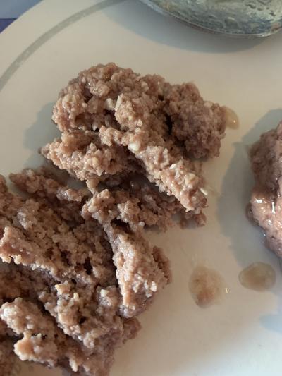 Food and bone shards