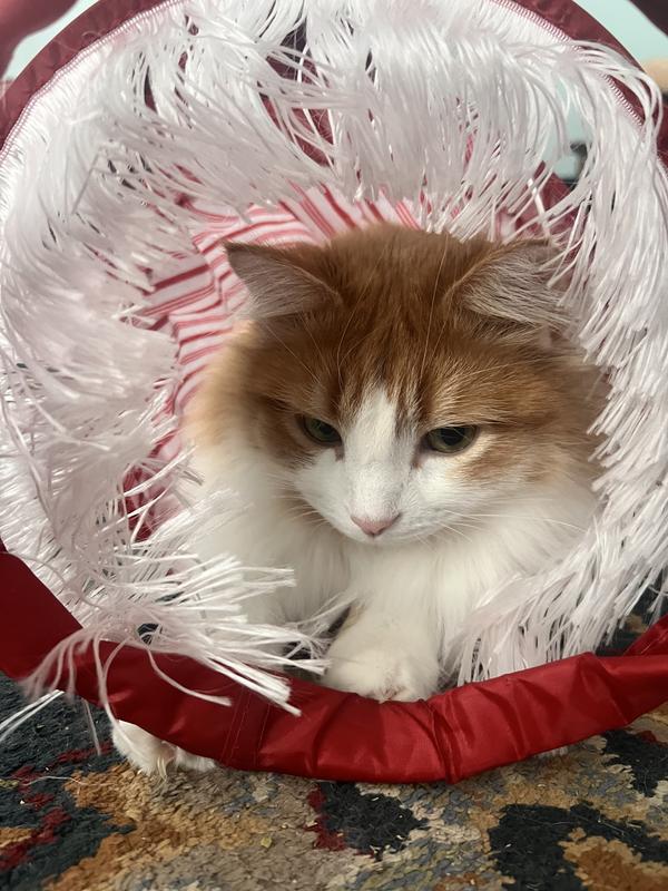 Willa’s happy place