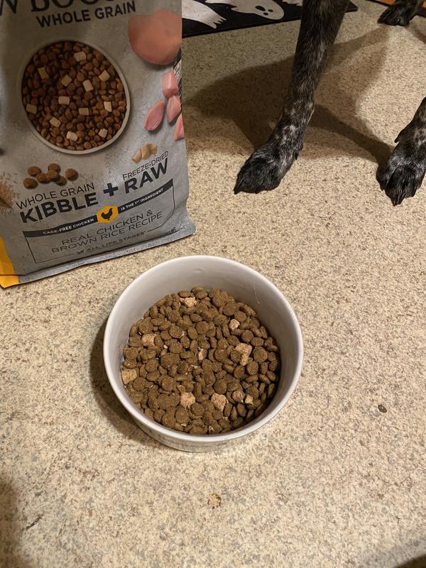 Waiting patiently for the kibble and freeze-dried chicken