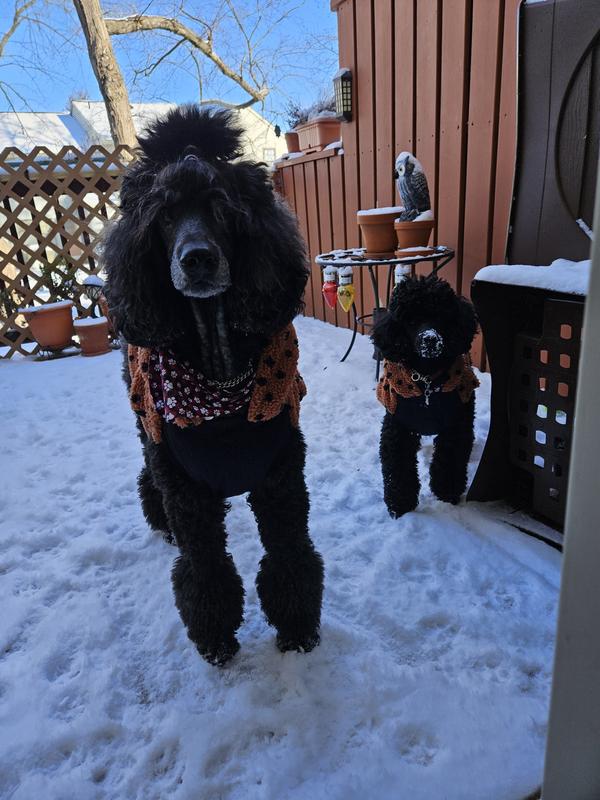 We love playing in snow in our coating coats!!