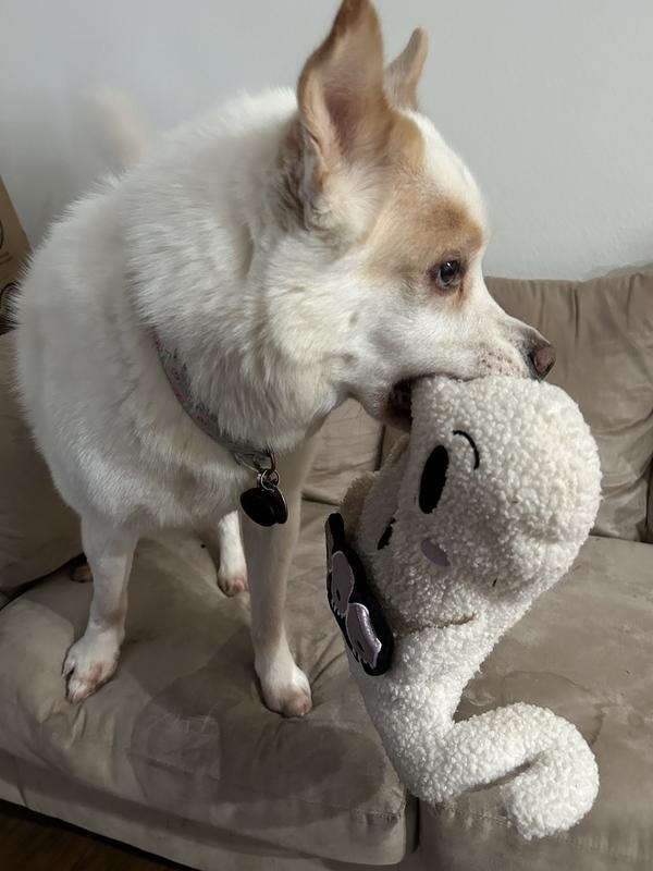 He loves his ghost!