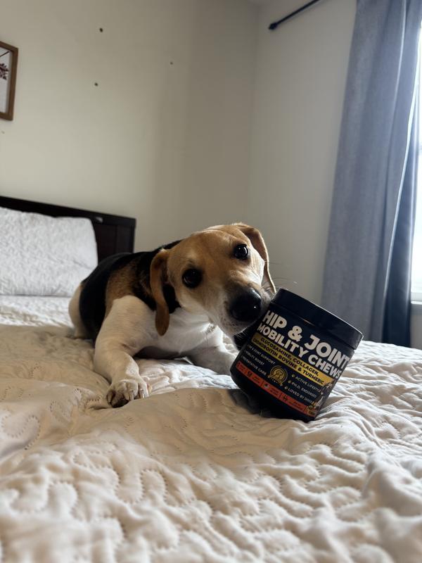 These treats have been amazing for my dog!