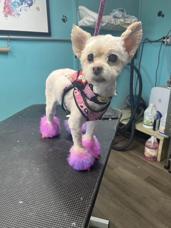 After her girls day out!